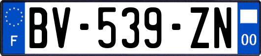 BV-539-ZN