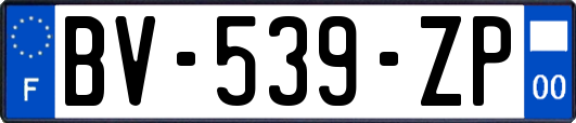 BV-539-ZP