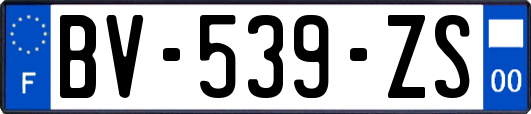 BV-539-ZS