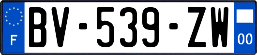 BV-539-ZW