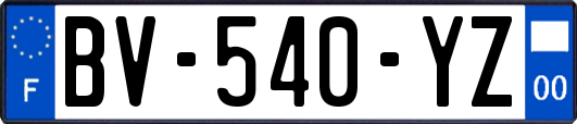 BV-540-YZ