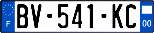 BV-541-KC