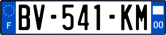 BV-541-KM