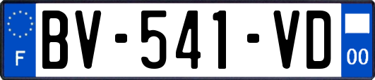 BV-541-VD