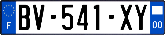BV-541-XY