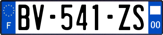 BV-541-ZS