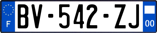 BV-542-ZJ