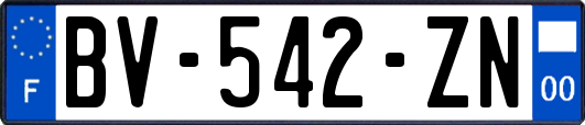 BV-542-ZN