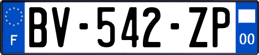 BV-542-ZP