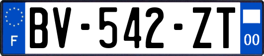 BV-542-ZT