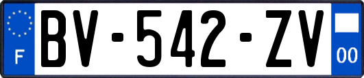 BV-542-ZV