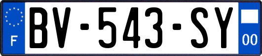 BV-543-SY