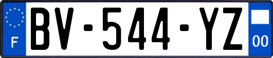 BV-544-YZ