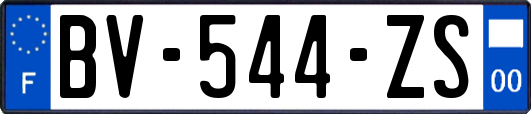 BV-544-ZS