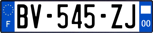 BV-545-ZJ