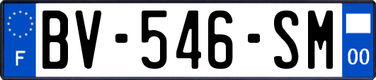 BV-546-SM