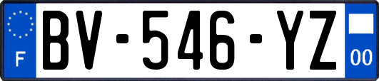 BV-546-YZ