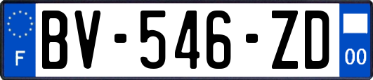 BV-546-ZD