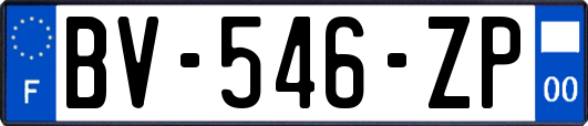 BV-546-ZP