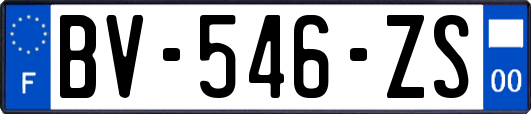 BV-546-ZS