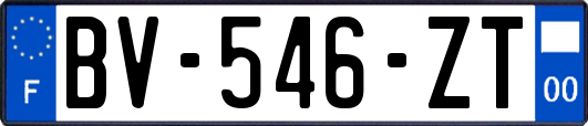 BV-546-ZT