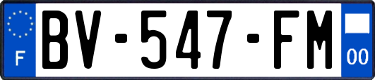 BV-547-FM