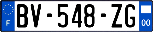 BV-548-ZG