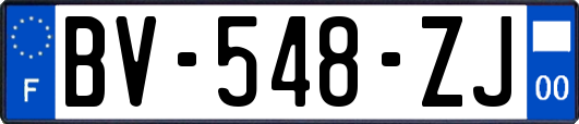 BV-548-ZJ