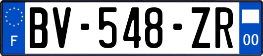 BV-548-ZR