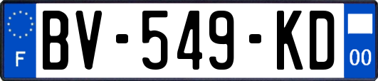 BV-549-KD