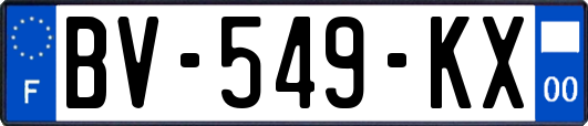 BV-549-KX