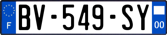 BV-549-SY