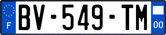 BV-549-TM