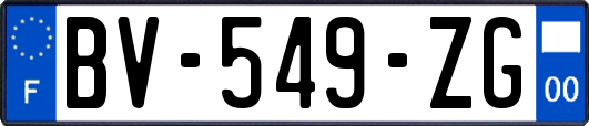 BV-549-ZG