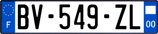 BV-549-ZL