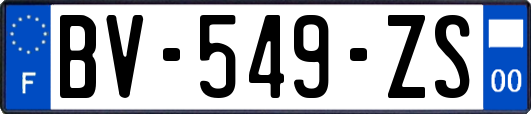 BV-549-ZS