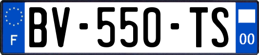 BV-550-TS