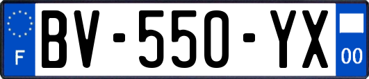 BV-550-YX