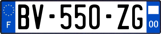 BV-550-ZG