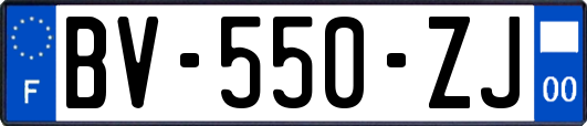 BV-550-ZJ