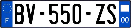 BV-550-ZS