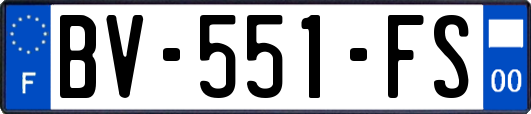 BV-551-FS