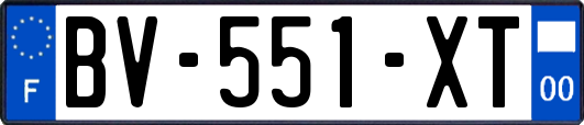 BV-551-XT