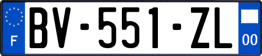 BV-551-ZL