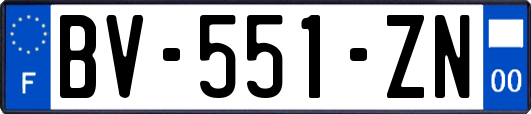 BV-551-ZN