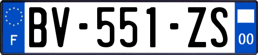 BV-551-ZS