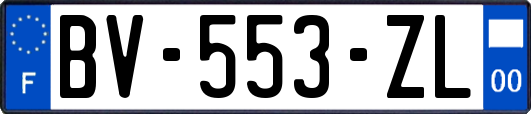 BV-553-ZL