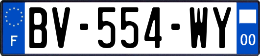 BV-554-WY