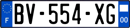 BV-554-XG