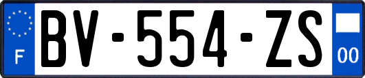 BV-554-ZS